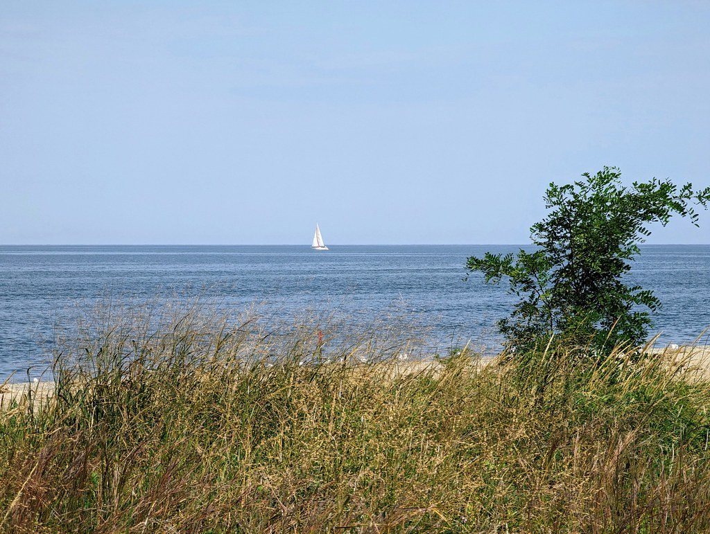 Dune grass along the Lake Erie shoreline